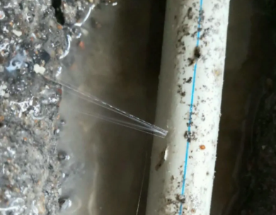 柳江测漏水哪家好