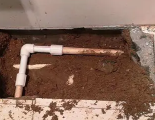 柳江测漏水哪家好