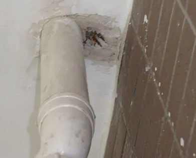 柳江漏水检测哪家好